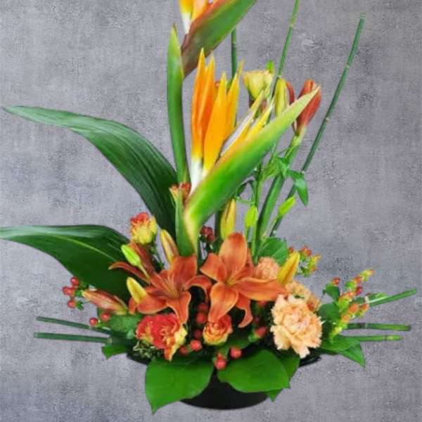 Tropical flower arrangement with orange bird-of-paradise and lilies in a black container