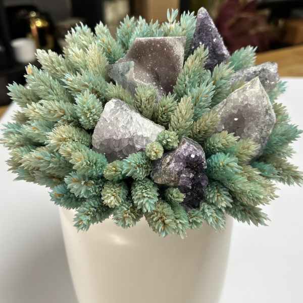 Potted succulent arrangement with crystal clusters in a white container
