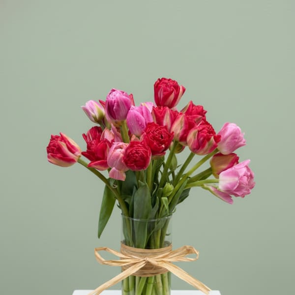 Toad Hill Tulips - Fairport, NY