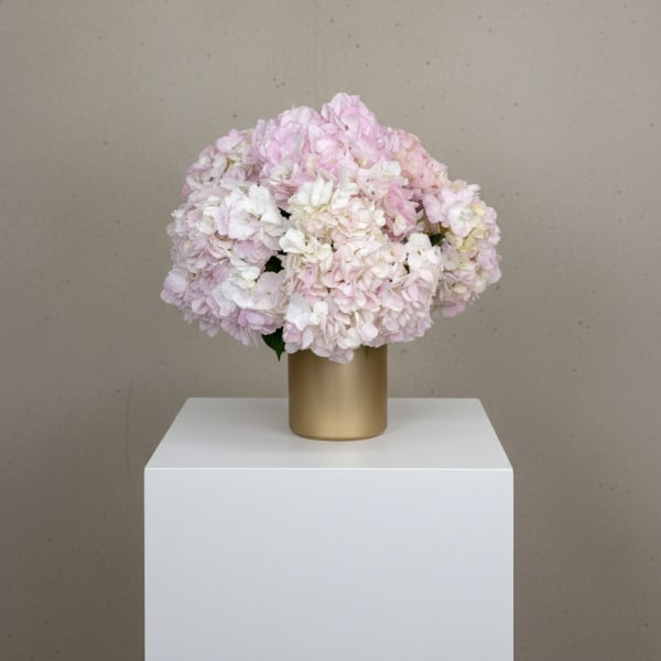 Pink and white hydrangea arrangement in a gold vase