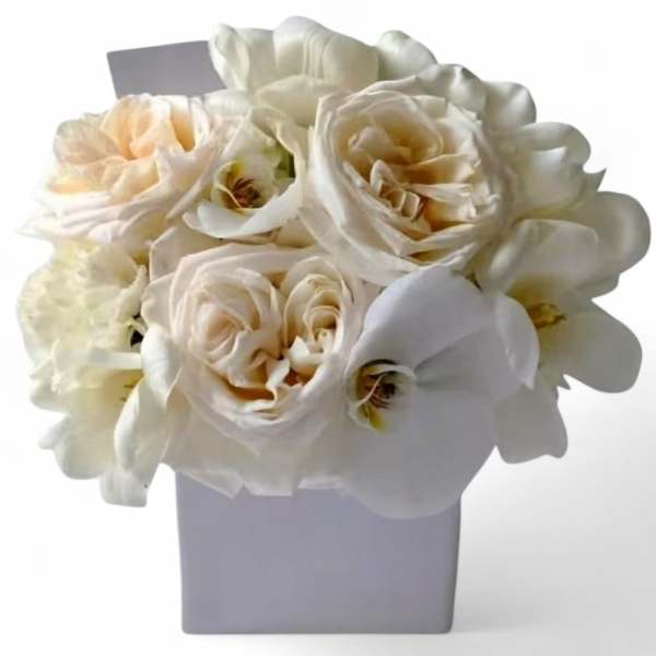 White and cream roses with white orchids in a square vase