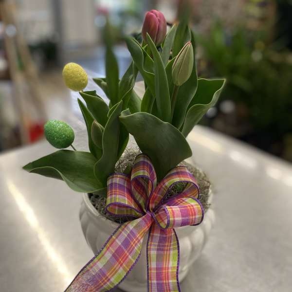 Pink tulips in a white pot with a plaid ribbon bow