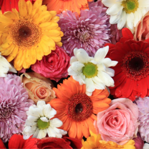 Mixed bouquet of gerbera daisies, roses, and chrysanthemums in bright colors