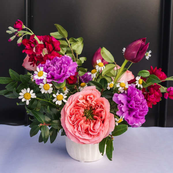 Compact arrangement of pink roses, purple carnations, red stock, and small white daisies in a white ceramic vase.
