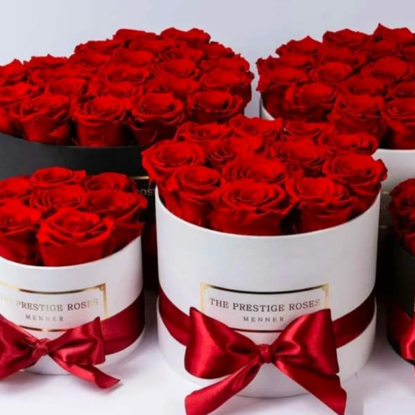 Red roses arranged in round hat boxes with satin bows