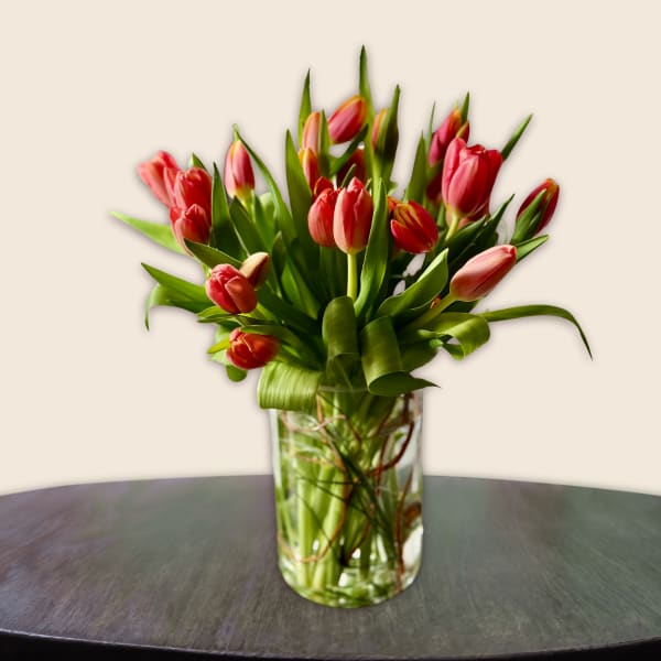 Red and pink tulips arranged in a clear glass vase