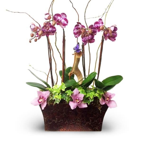 Tall orchid arrangement in a rectangular planter with pink and purple blooms