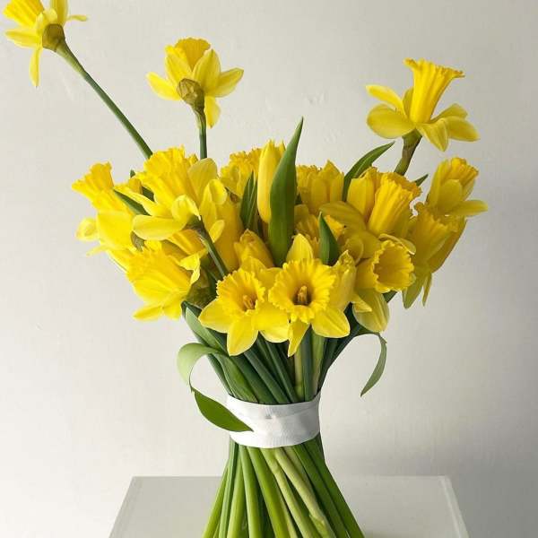 Daffodil & Tulips Bouquet
