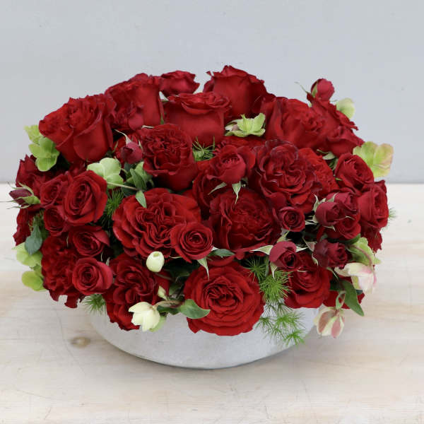 Low round arrangement of red roses in a white ceramic bowl