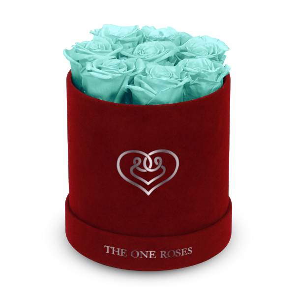 Turquoise roses in a red round box