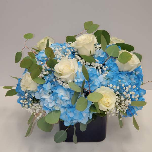 Compact arrangement of white roses and blue hydrangeas with baby's breath and eucalyptus in a black square vase
