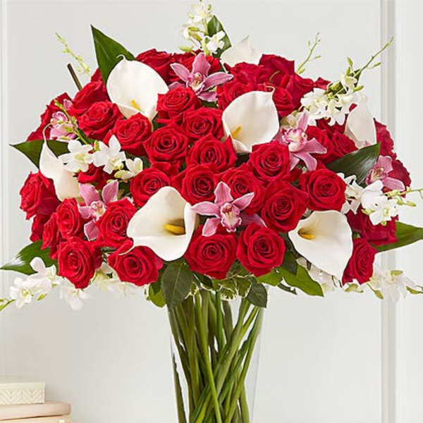 ELEGANT EXTRAVAGANZA