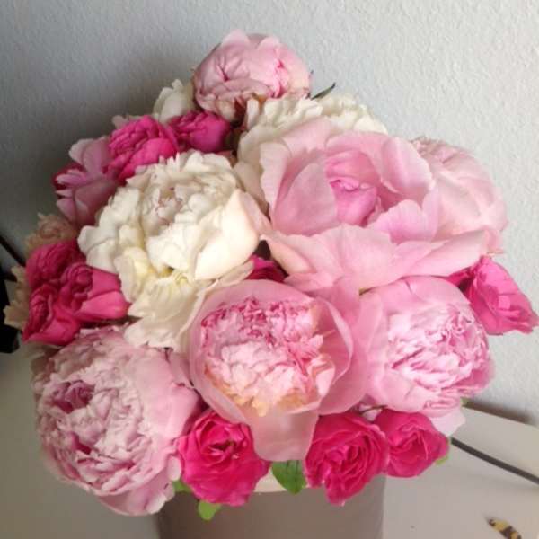 Pink and white peonies with hot pink roses in a round box