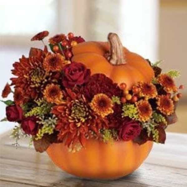 Fall Festive Pumpkin