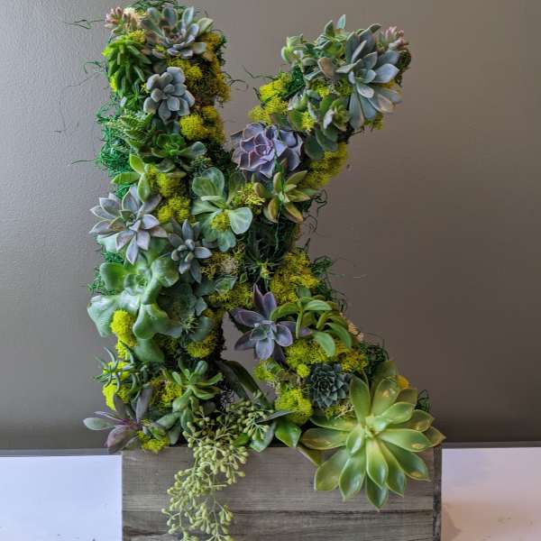Succulicious Monogram Letter
