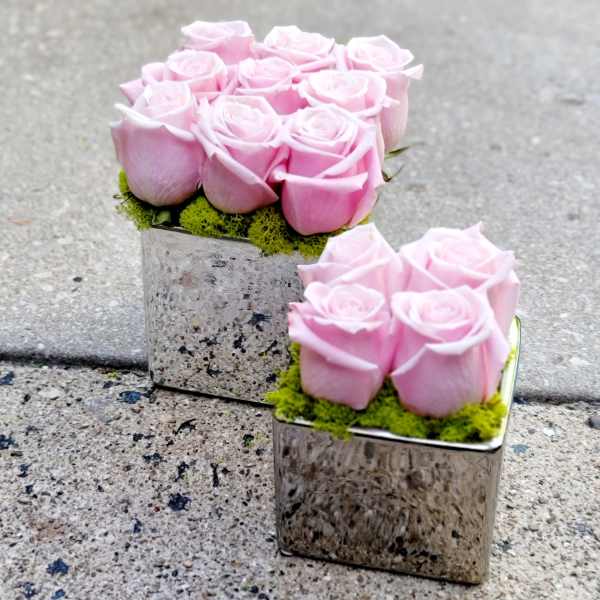 Two small square vases of pink roses on a stone surface