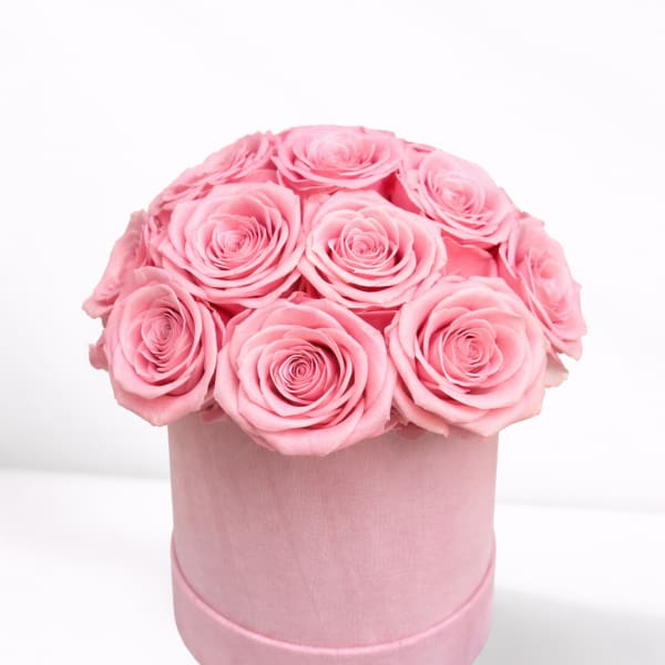 Pink roses arranged in a round pink box
