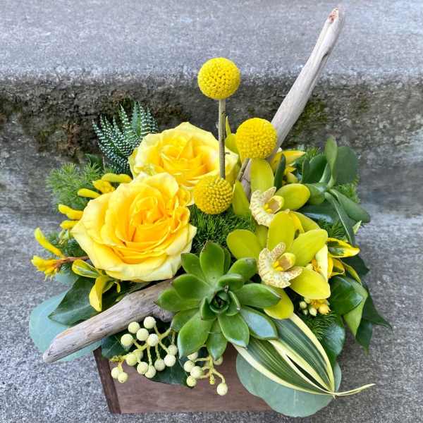 Yellow roses and succulents arranged in a wooden box with driftwood accents.