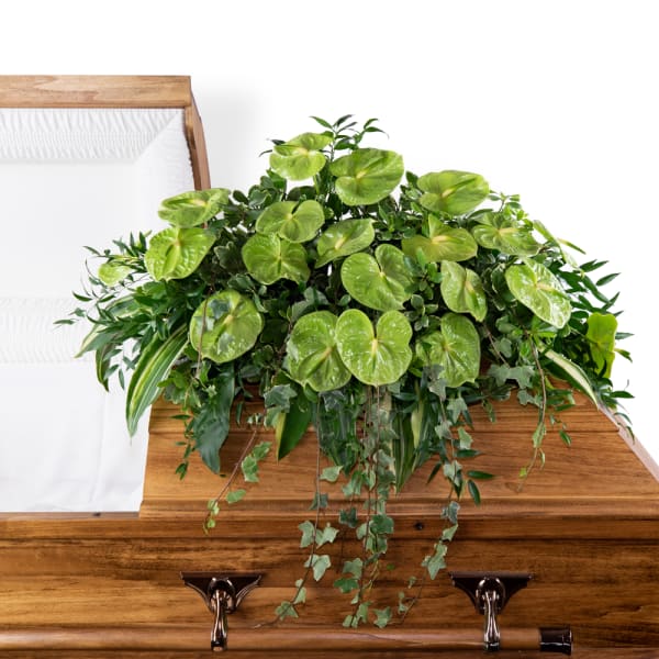 Green plant arrangement on a wooden casket