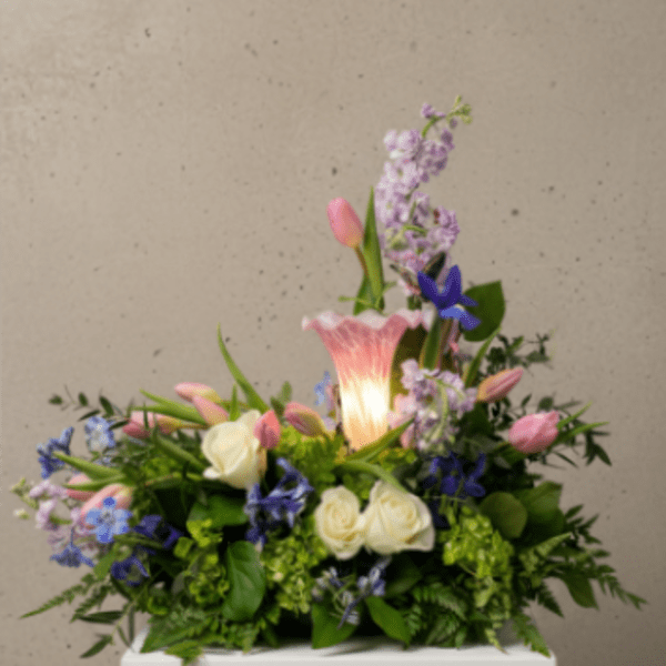 Peaceful Light Tribute