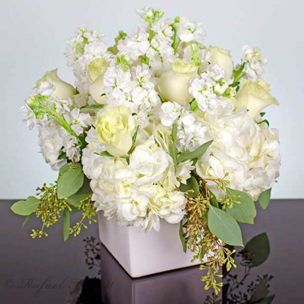 White roses and hydrangeas in a square white vase