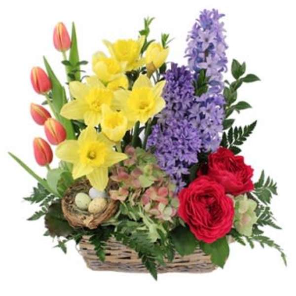 Basket arrangement with yellow daffodils, purple hyacinths, red roses, and tulips