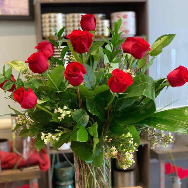 Willow's Finest Dozen