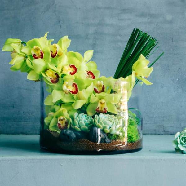 Green orchids and succulents arranged in a clear glass vase