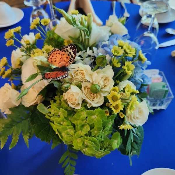 Low centerpiece of white roses, yellow daisies, and blue and green hydrangeas with an orange butterfly on a blue tablecloth