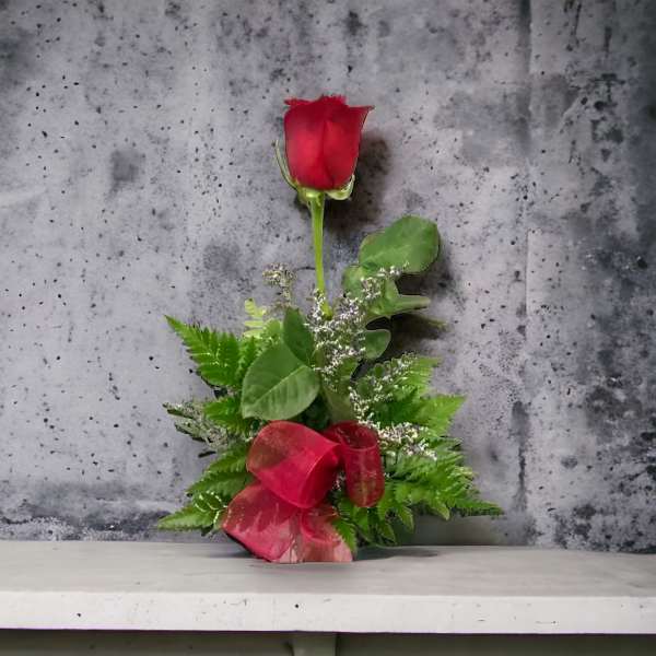 Single red rose with greenery and a red ribbon
