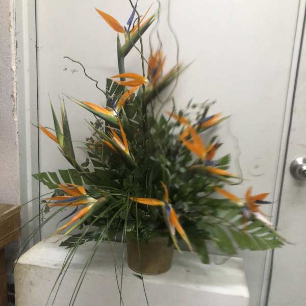 Tropical arrangement with orange bird-of-paradise flowers in a vase