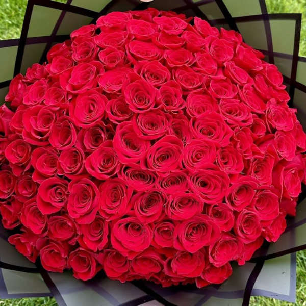 La Buchona 100 Rose Bouquet