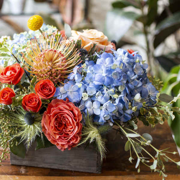 Colorful floral arrangement in a dark wooden box with roses and blue hydrangeas