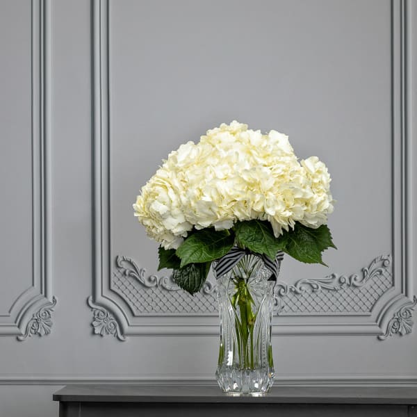 White hydrangea arrangement in a clear glass vase