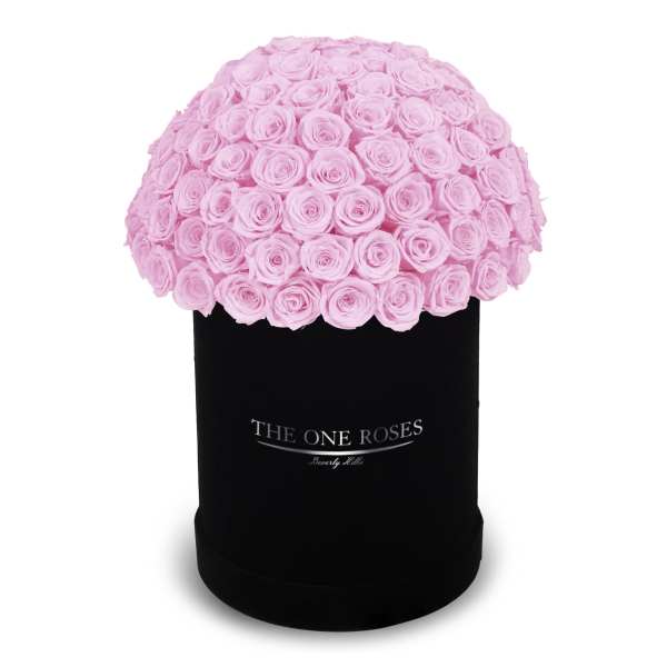 Pink roses arranged in a black cylindrical box