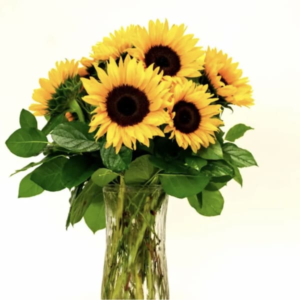 Bouquet of yellow sunflowers in a clear glass vase