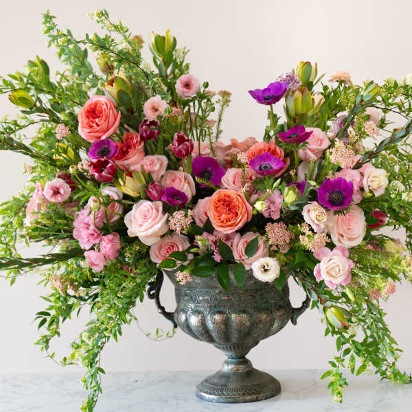 Enchanted Wonderland