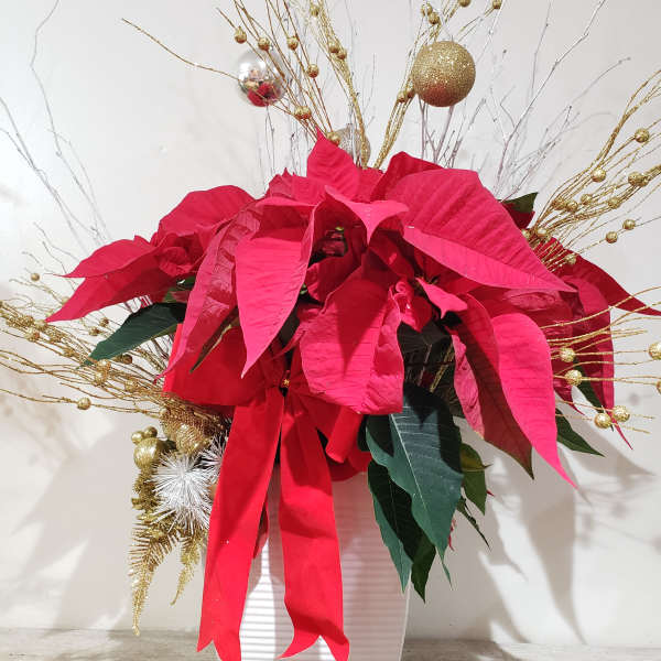 Poinsettia arrangement in a white vase with gold decorative branches