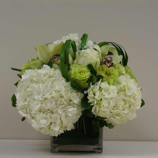 White hydrangeas and green orchids in a square glass vase