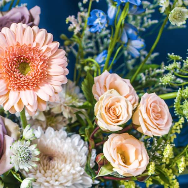 Pastel bouquet with peach gerbera, roses, white mum, and blue flowers on a dark background
