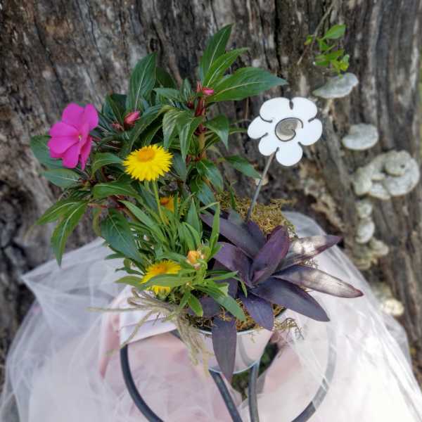 Small potted floral arrangement with pink and yellow blooms