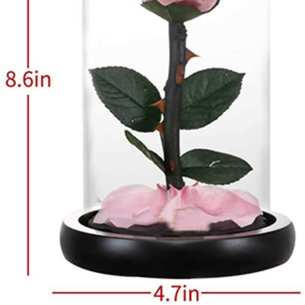 Pink rose under a glass dome on a black base