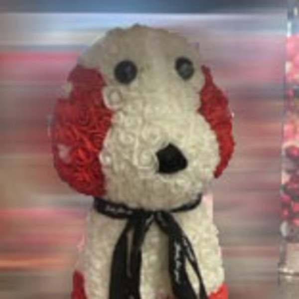 Dog-shaped floral arrangement with red and white flowers and a black ribbon
