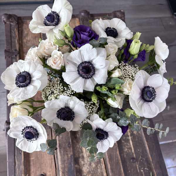 Elegant Anemones