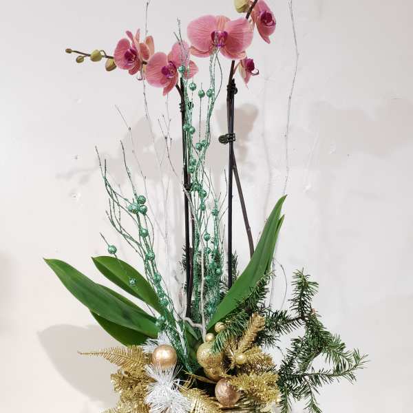 Pink orchids in a gold vase with holiday greenery and ornaments