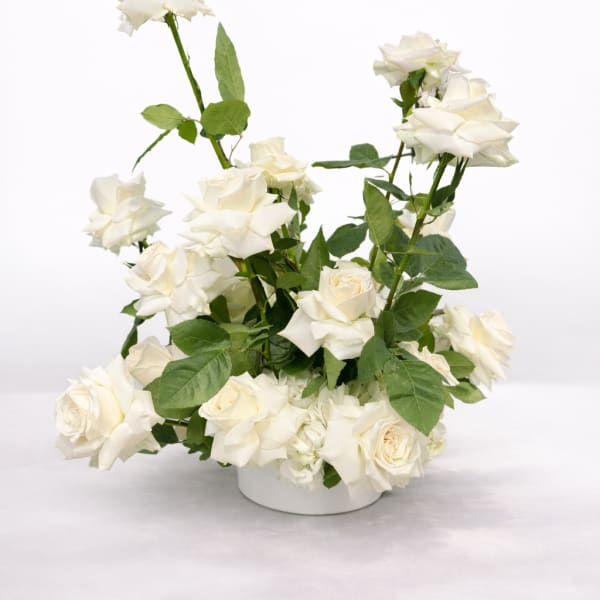 White roses arranged in a low white container