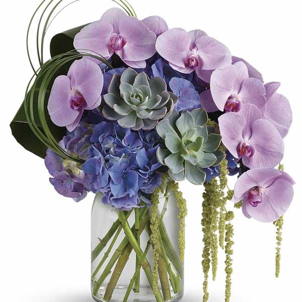 Lavender orchids and blue hydrangeas in a glass vase with succulents