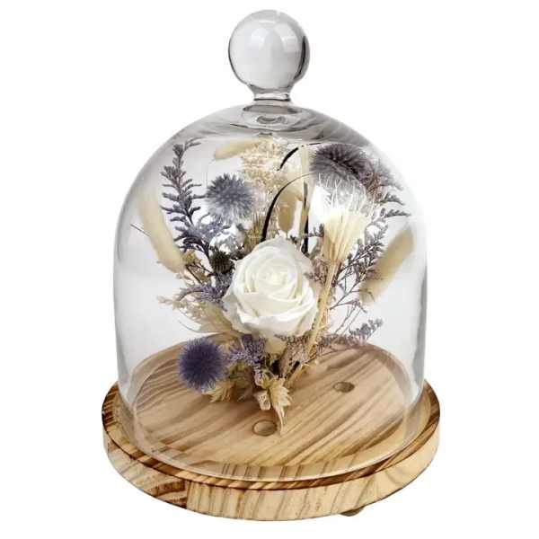 White rose under a glass dome on a wooden base