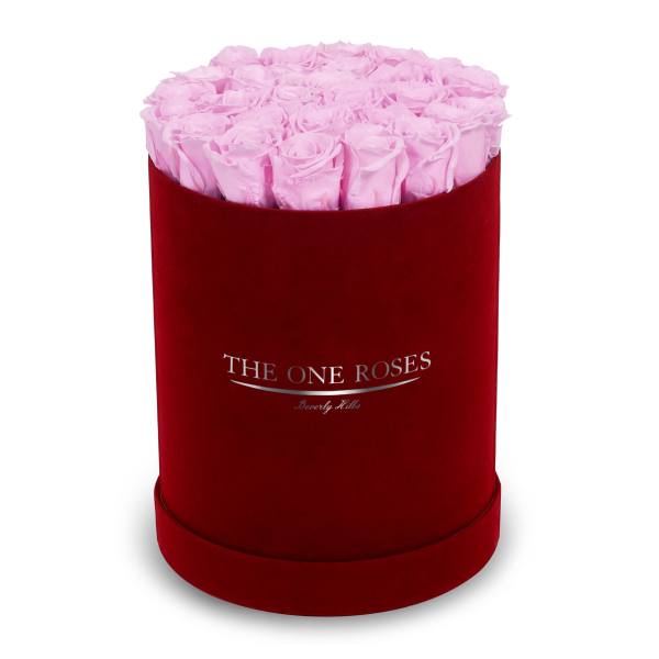 Pink roses arranged in a red round box