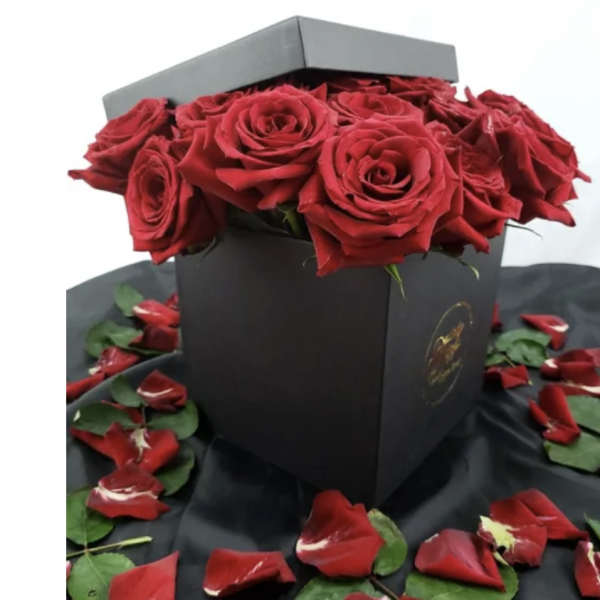 Red roses arranged in a black gift box with scattered petals